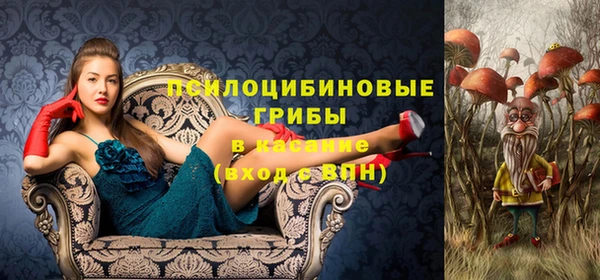 герыч Аркадак