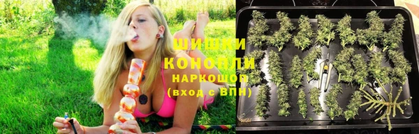 ПСИЛОЦИБИНОВЫЕ ГРИБЫ Армянск