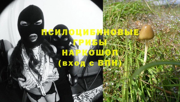 каннабис Арсеньев
