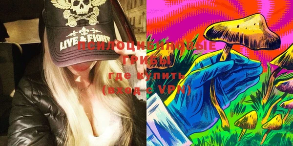 ПСИЛОЦИБИНОВЫЕ ГРИБЫ Армянск