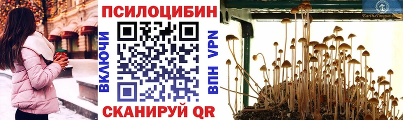 Галлюциногенные грибы MAGIC MUSHROOMS Тетюши